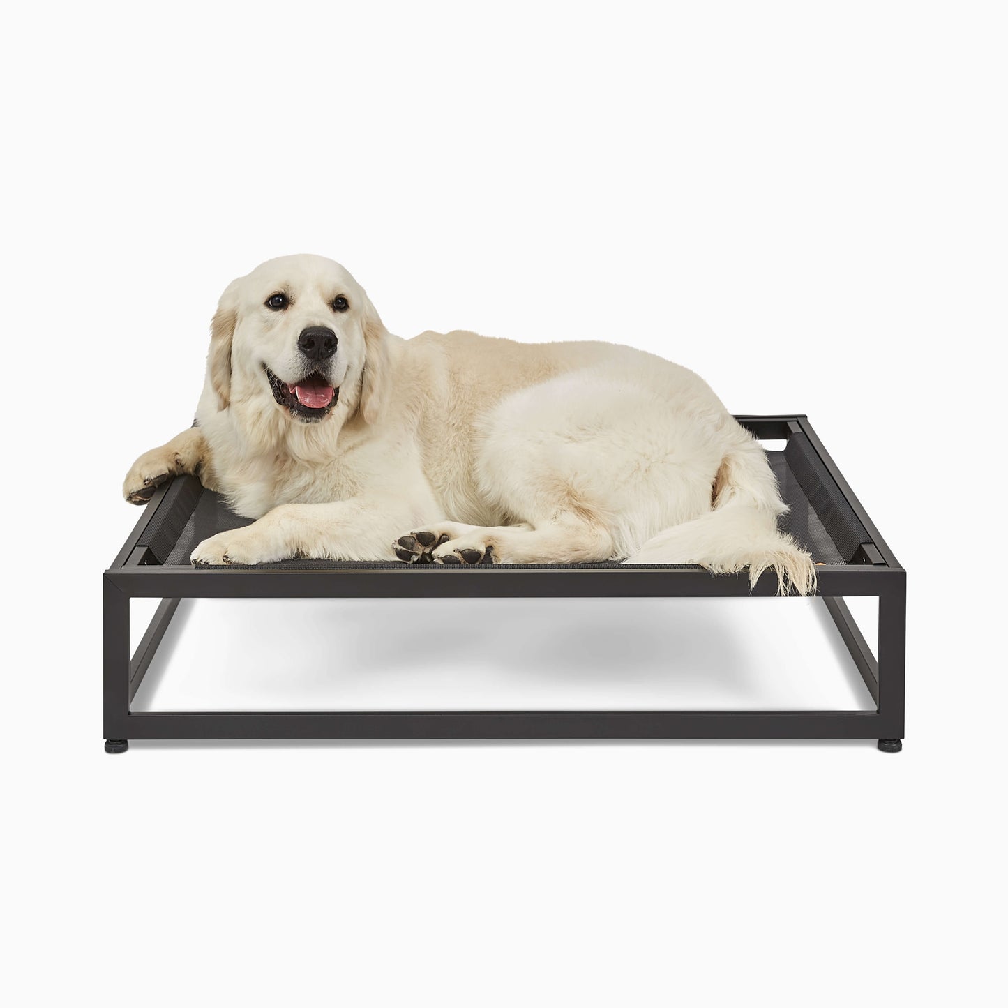 The Up Pup Dog Bed