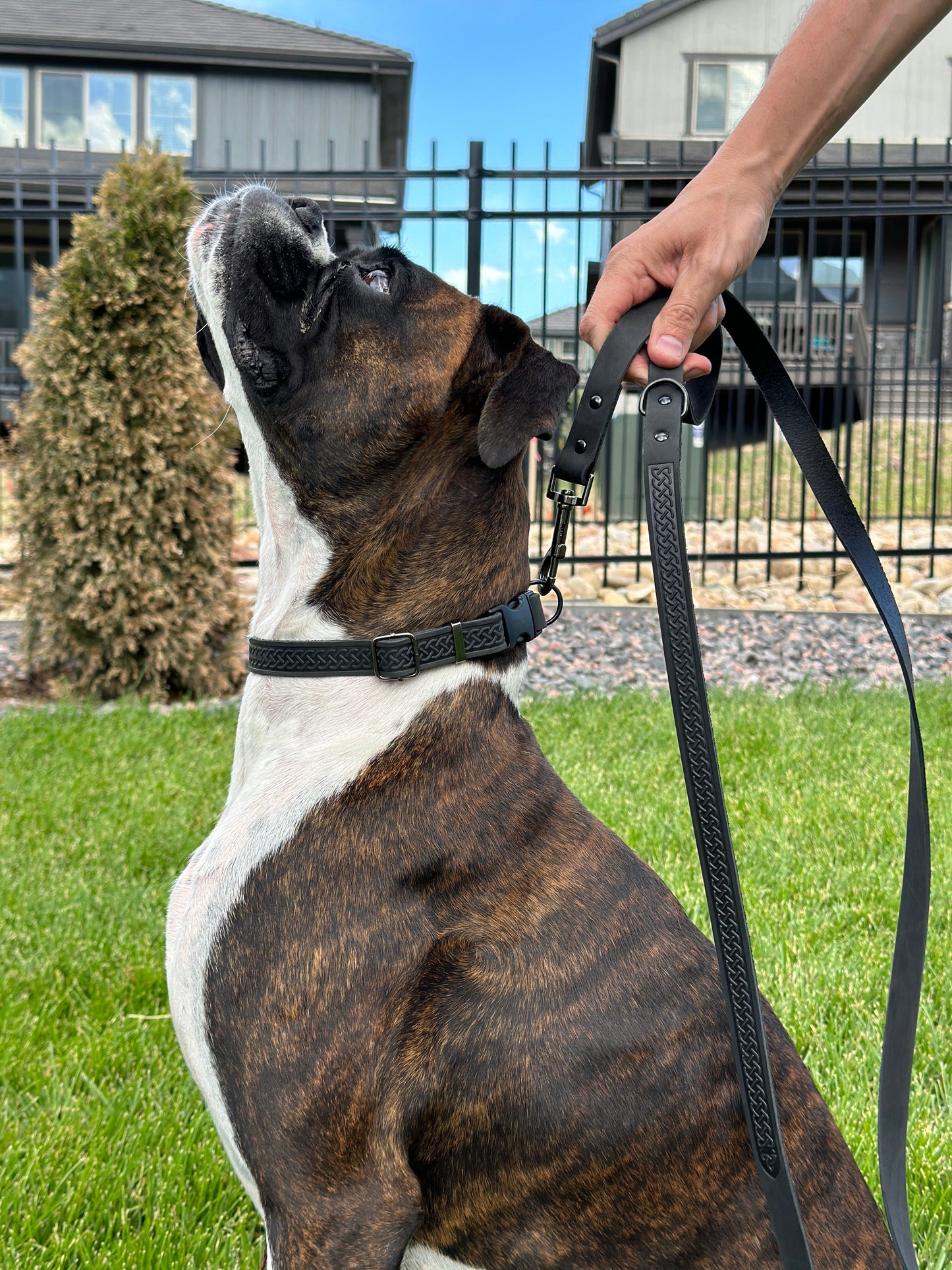 Celtic Sport Midnight Black Leather Dog Leash