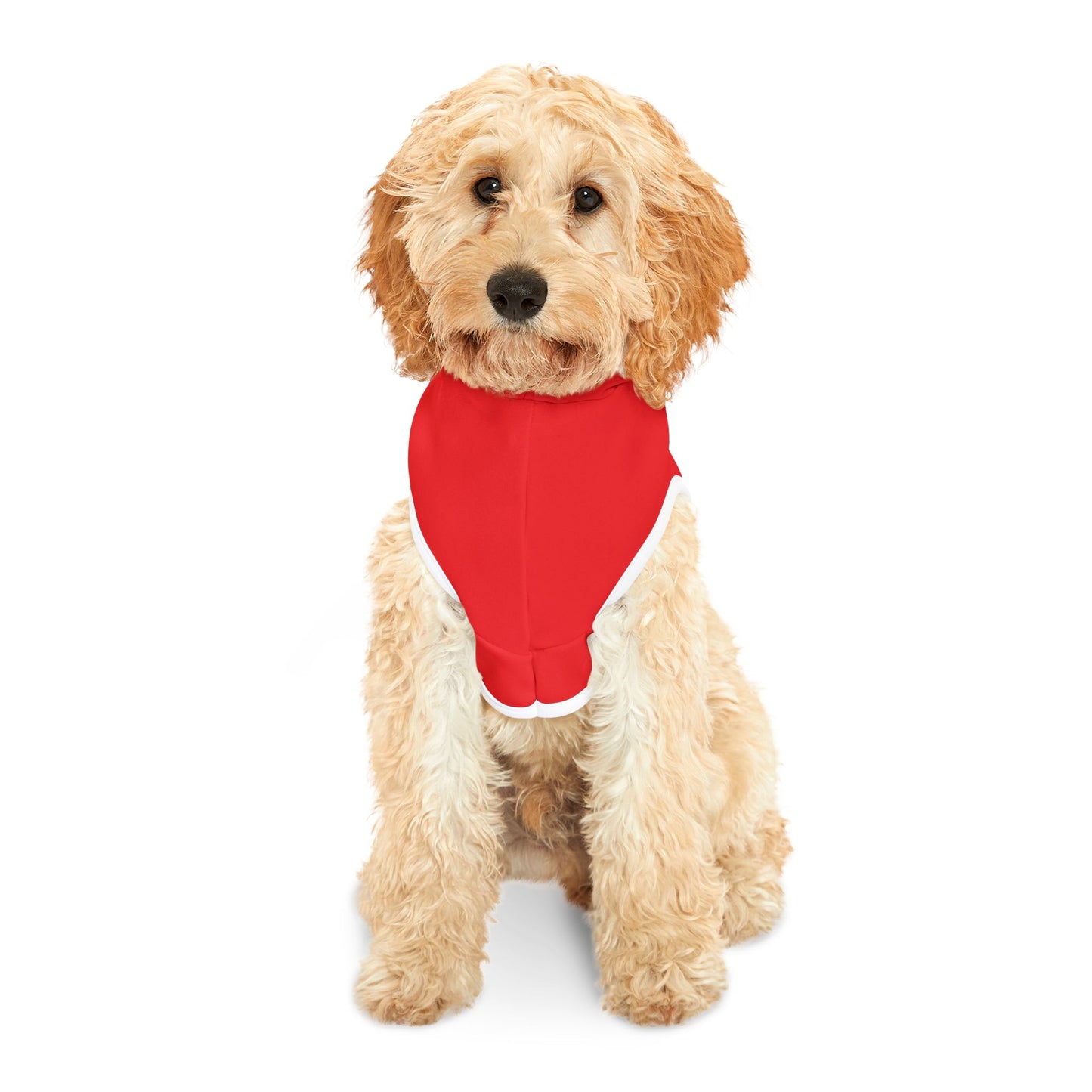Valentine's Day Pet Hoodie "Love"