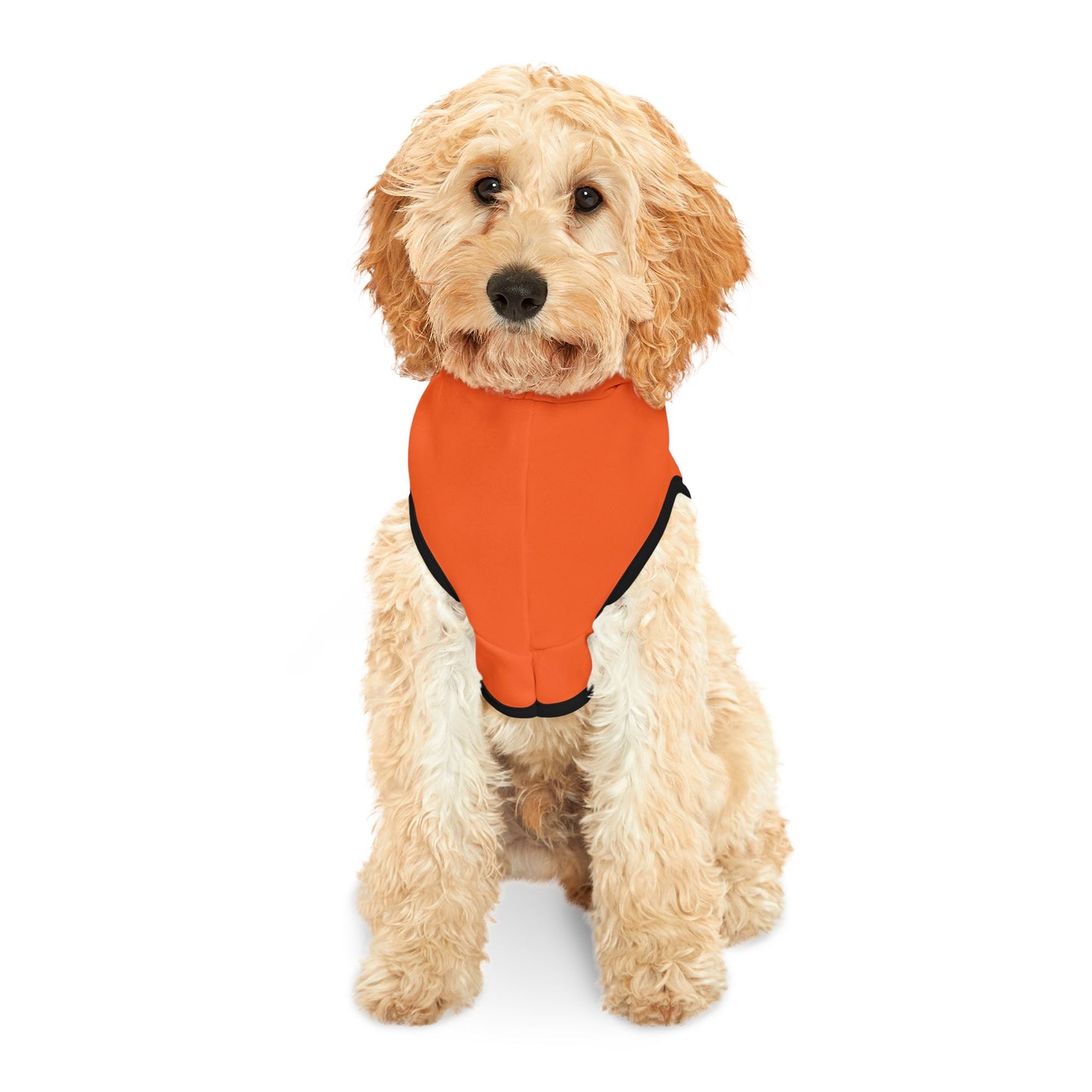 Halloween Pet Hoodie "Frightfully Cute"
