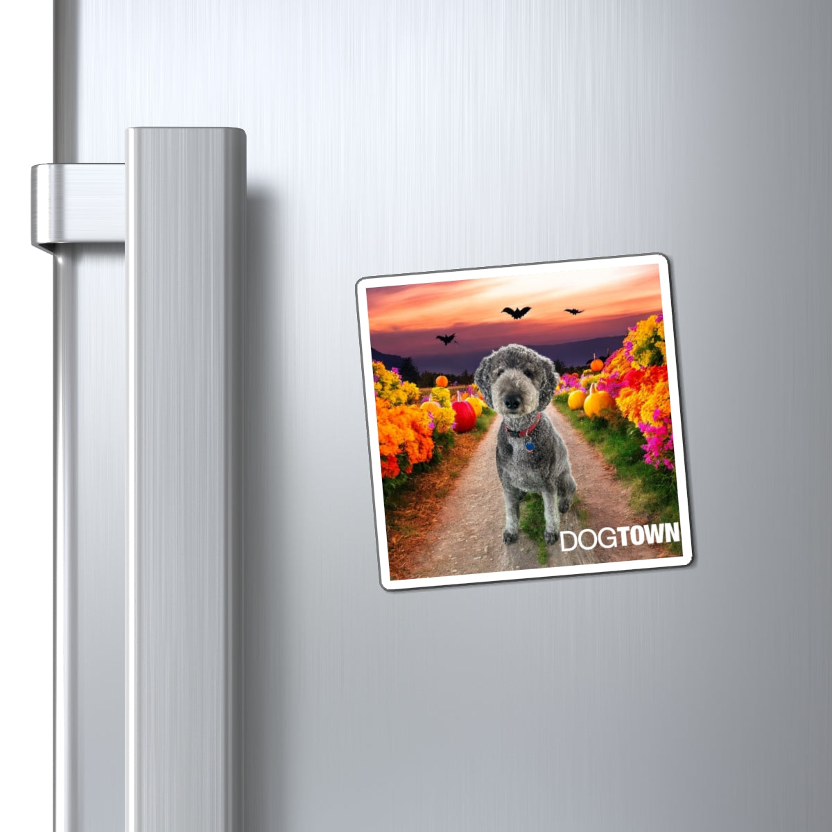 Oz - 3x3 Halloween Magnets