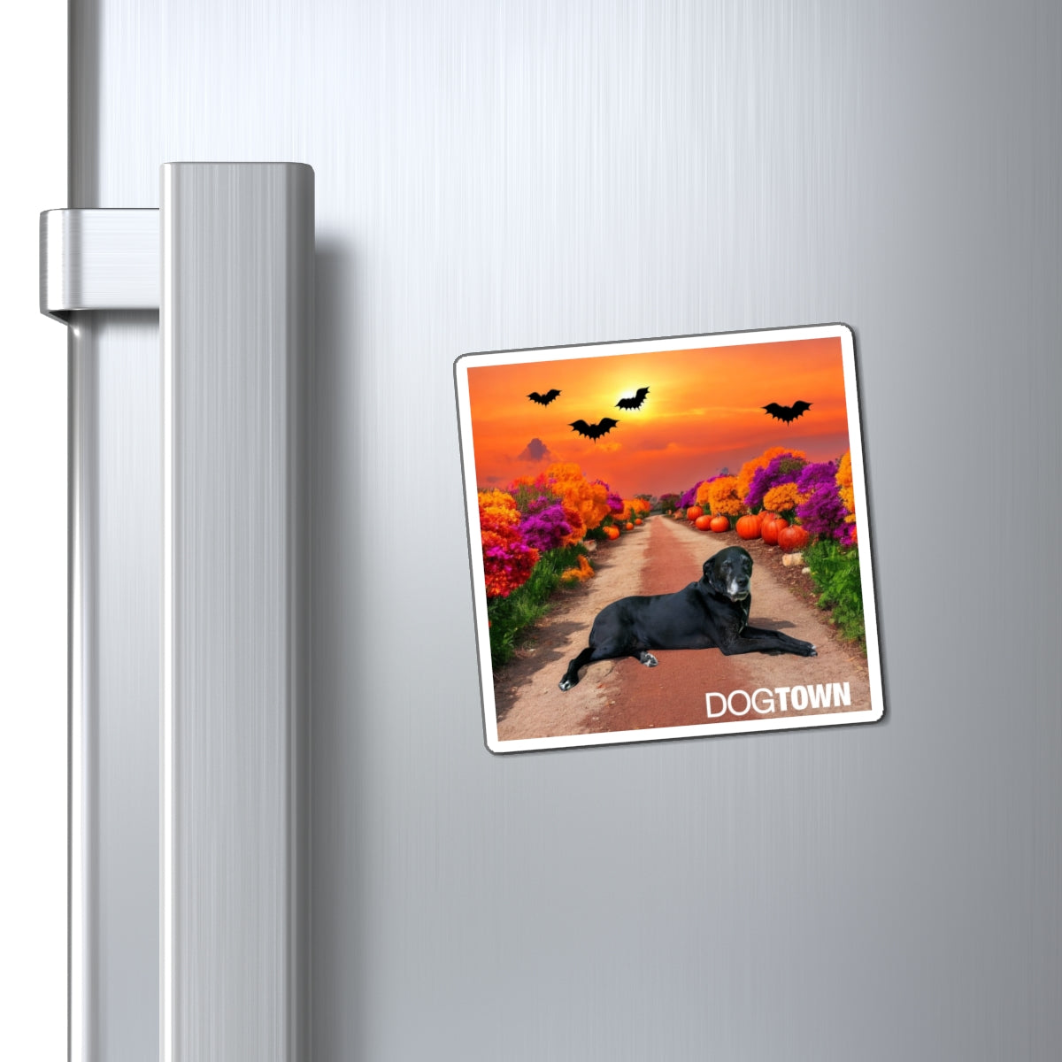 Charlotte - 3x3 Halloween Magnet