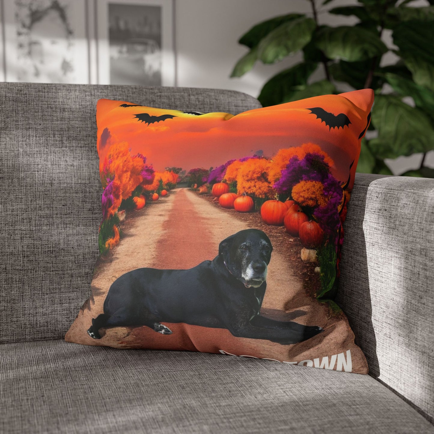 Charlotte - Halloween Pillowcase