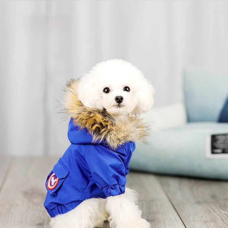 Warm And Cozy Pet Dog Winter Apparel