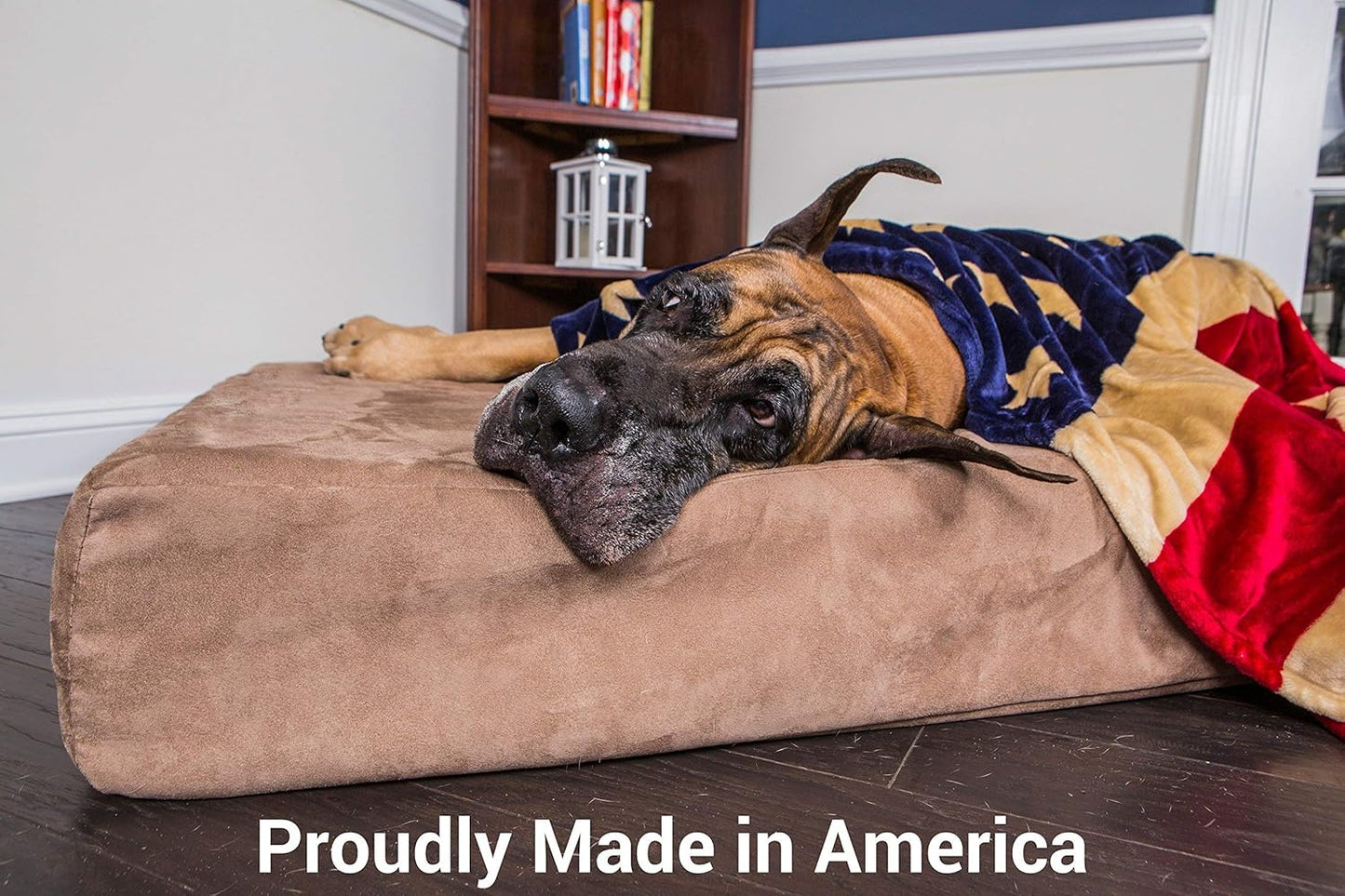 XL 7" Memory Foam Orthopedic Dog Bed