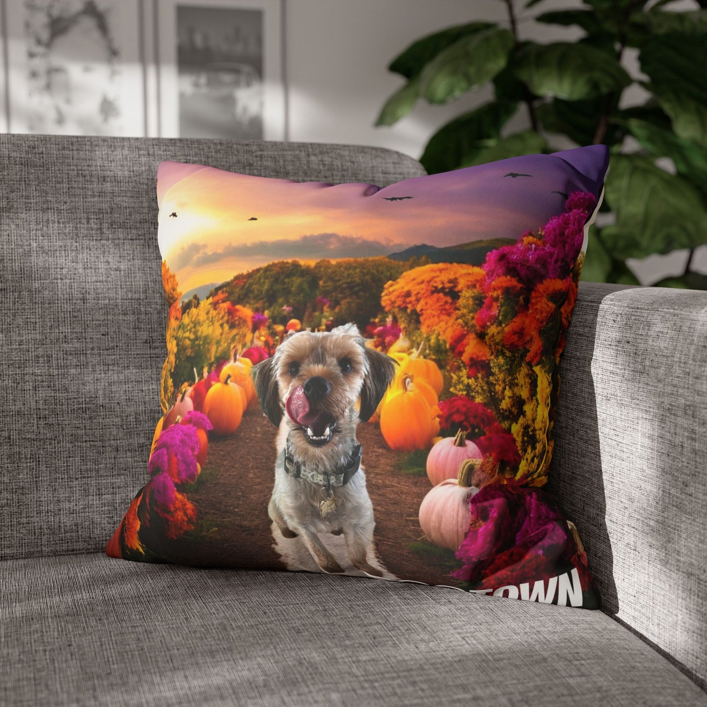 Jasper - Halloween Pillowcase