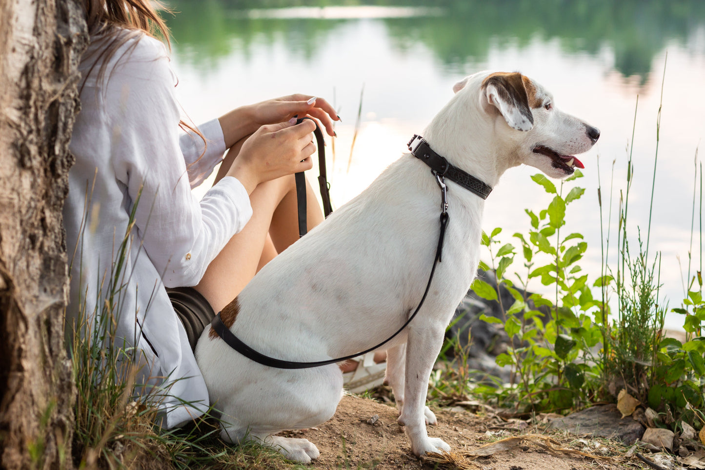 Celtic Sport Midnight Black Leather Dog Collar