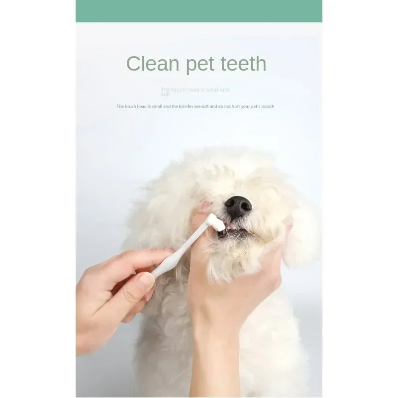 Pet Toothpaste Kit - Dental Care Set for Dogs & Cats, Teeth Cleaning