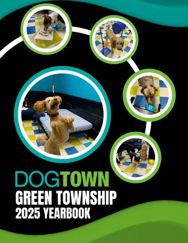 Book Cover Variant Thumbnail