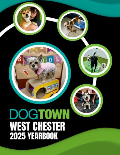 Book Cover Variant Thumbnail