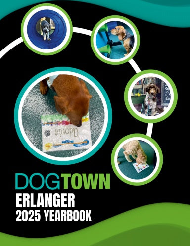 Book Cover Variant Thumbnail