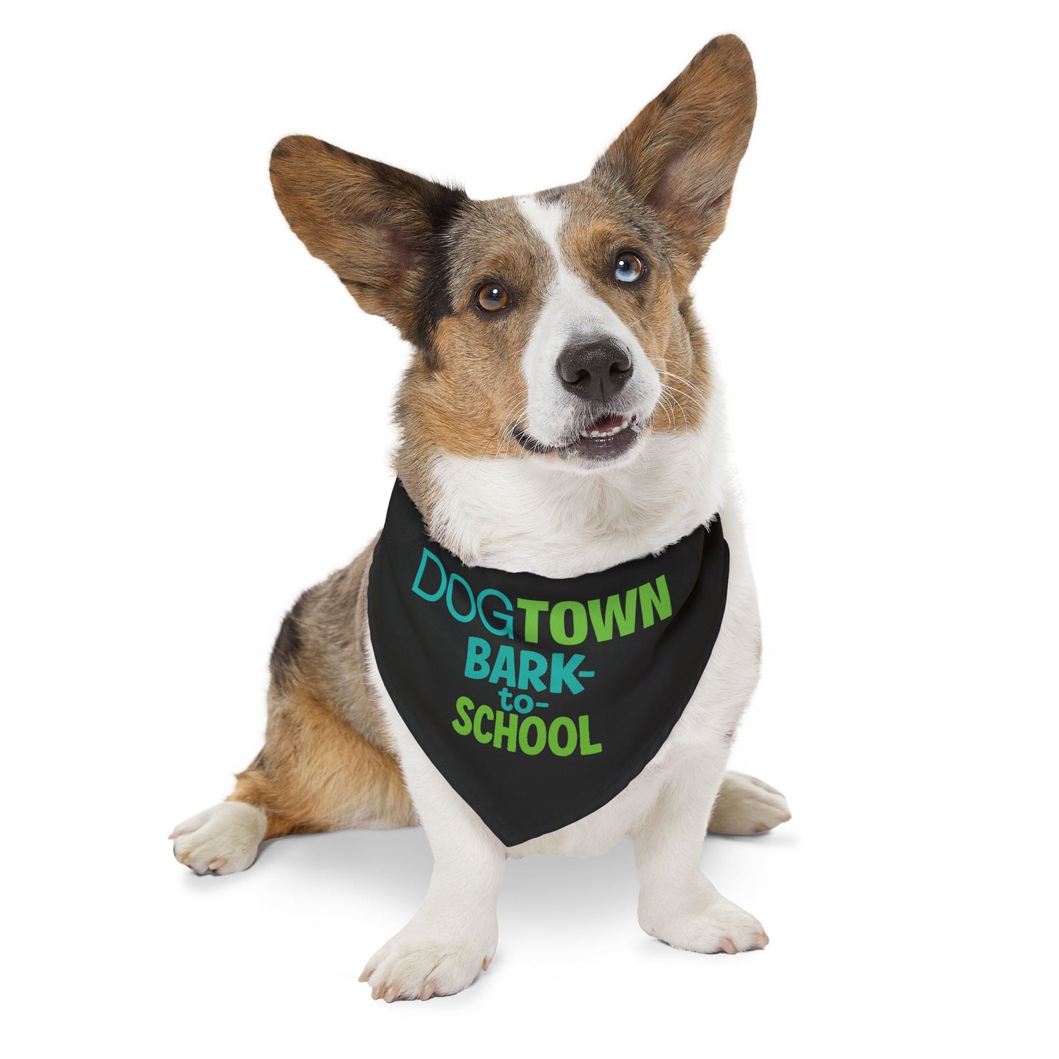 Dogtown Pet Gear