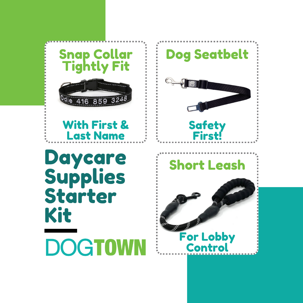 Dogtown Daycare Starter Kit