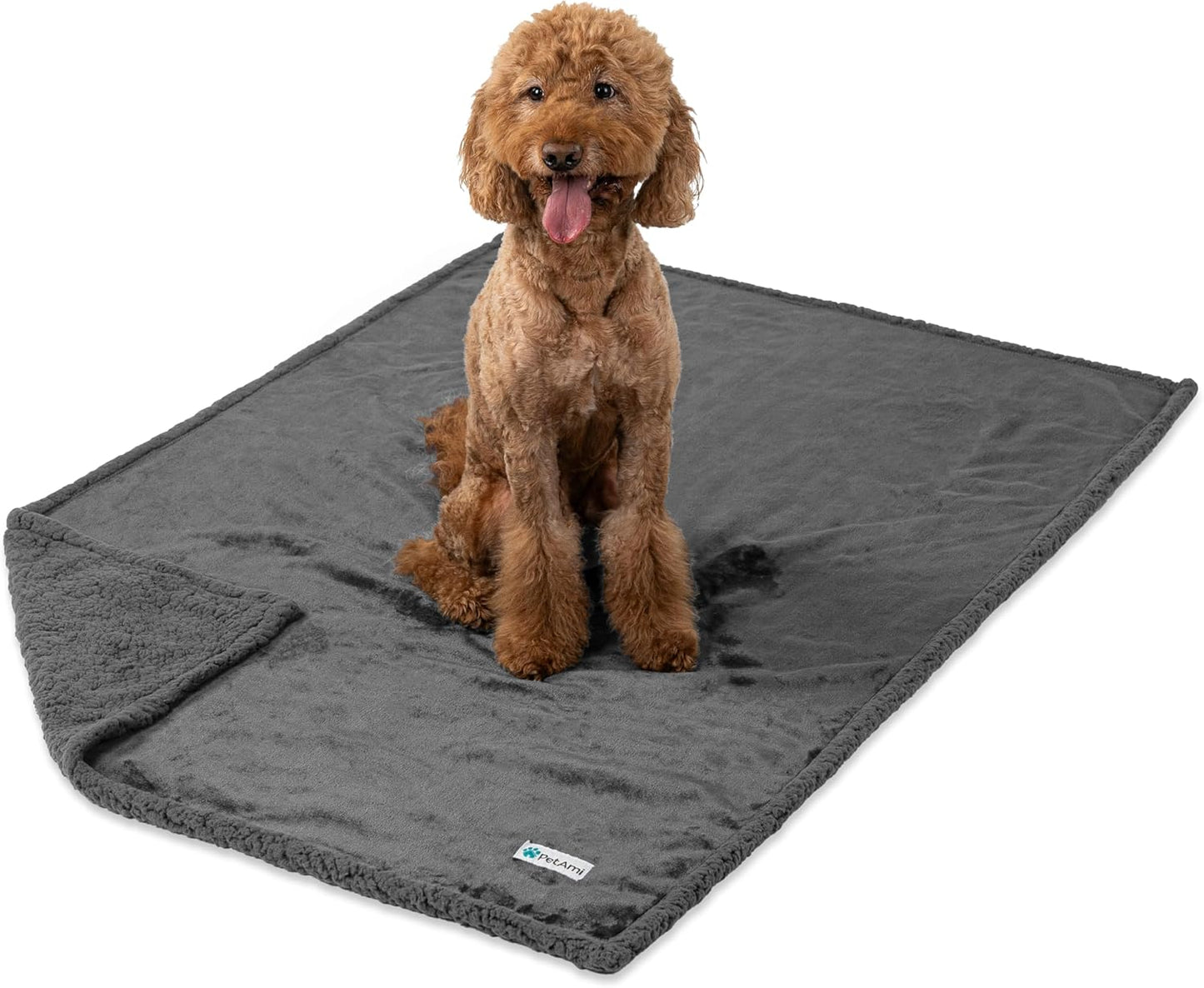 Waterproof Dog XL Blanket 90X90 