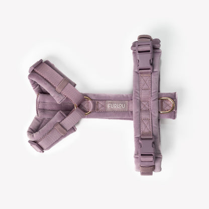 Lilac - Velvet Dog Harness