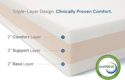 Large 7" Memory Foam Orthopedic Dog Bed