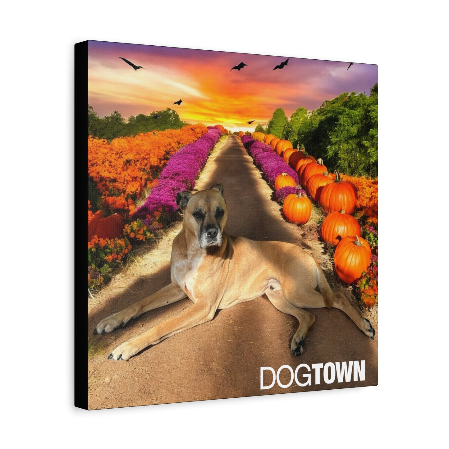 Cooper - Halloween Canvas