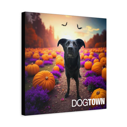 Bodhi - Halloween Canvas