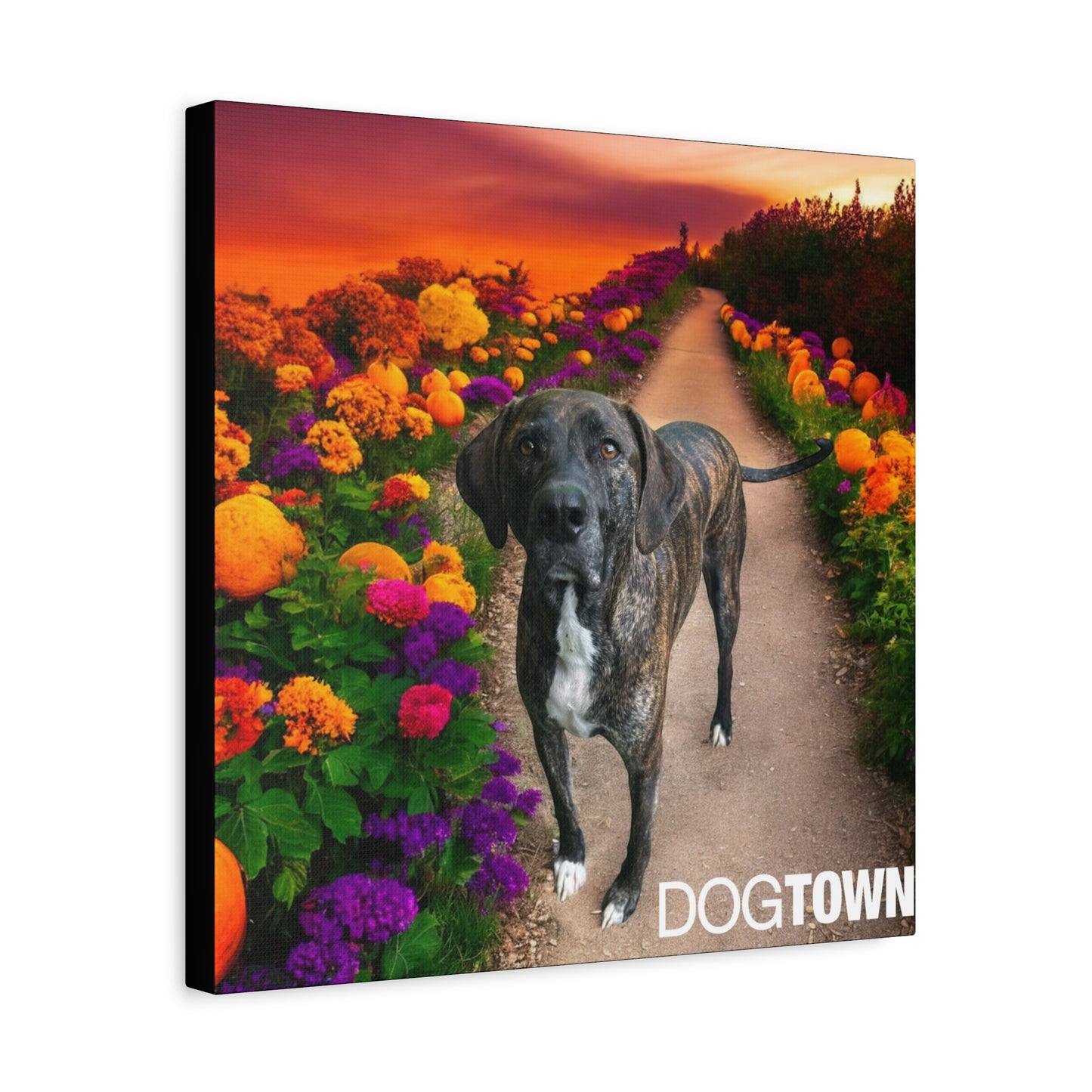 Wynnie - Halloween Canvas