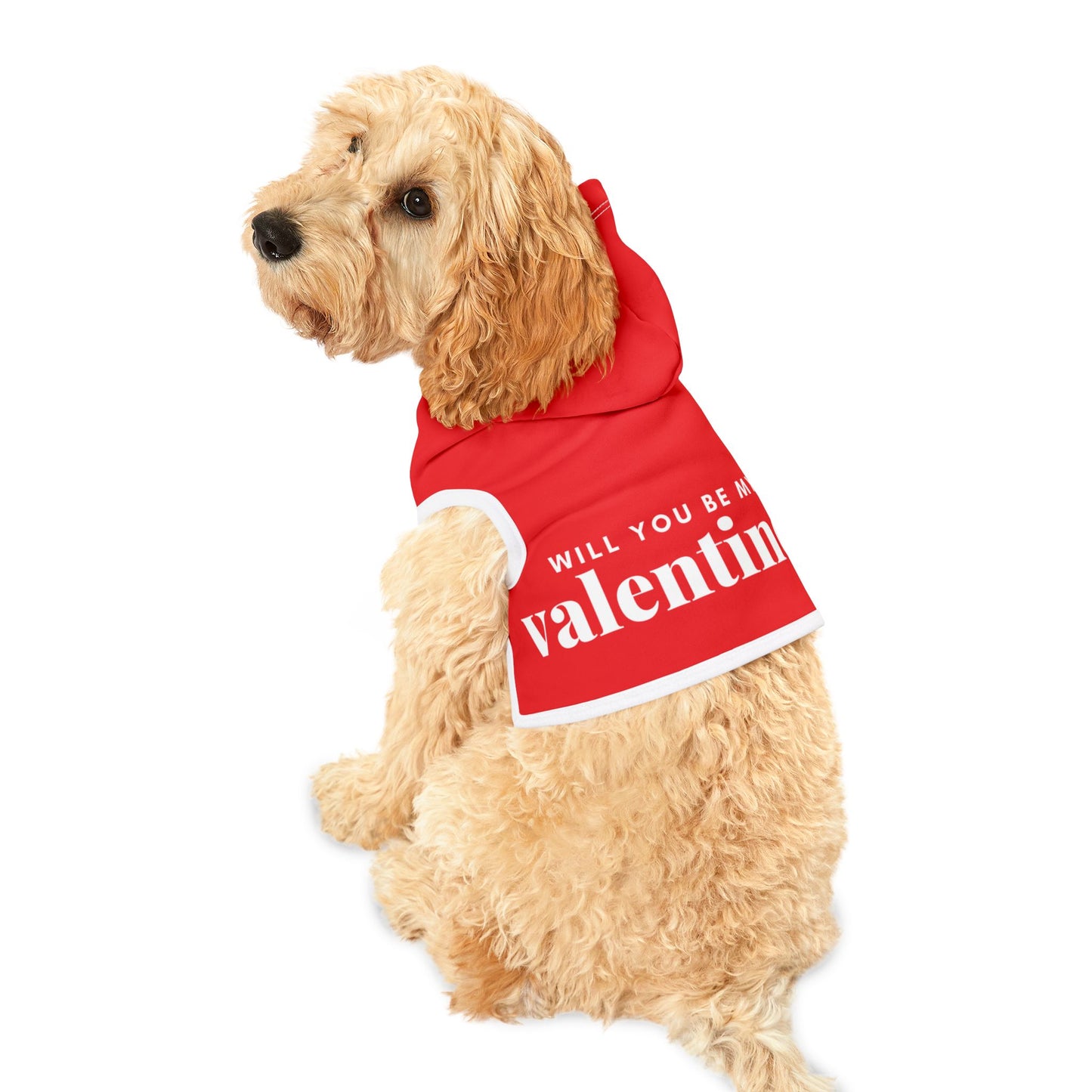 Valentine's Pet Hoodie "Will You Be My Valentine?"