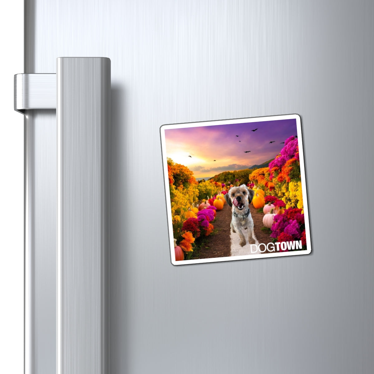 Jasper - 3x3 Halloween Magnet