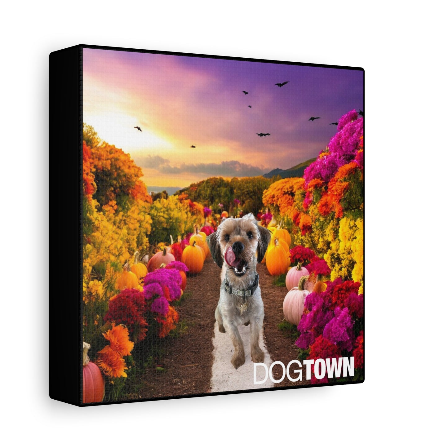 Jasper - Halloween Canvas