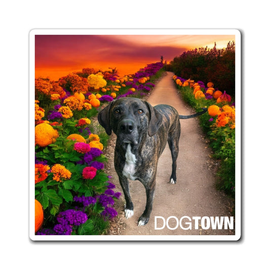 Wynnie - 3x3 Halloween Magnet