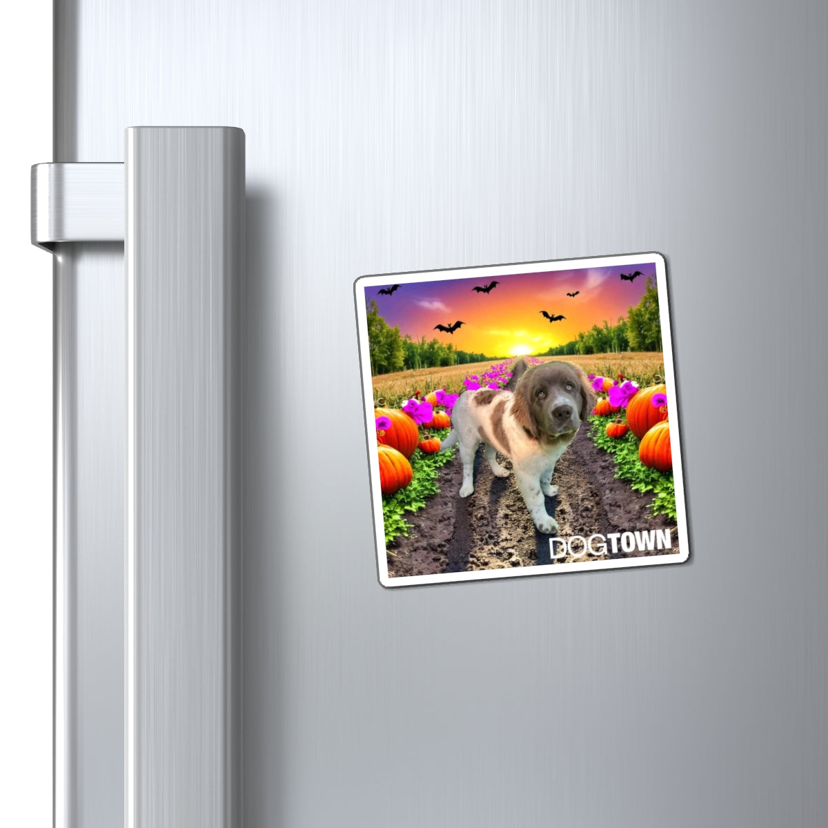 Stella - 3x3 Halloween Magnet