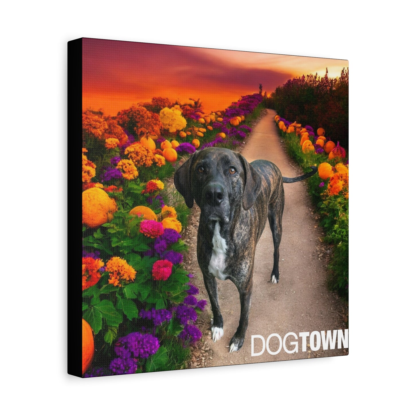 Wynnie - Halloween Canvas