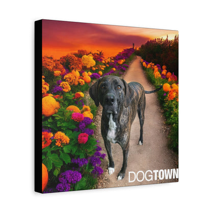 Wynnie - Halloween Canvas