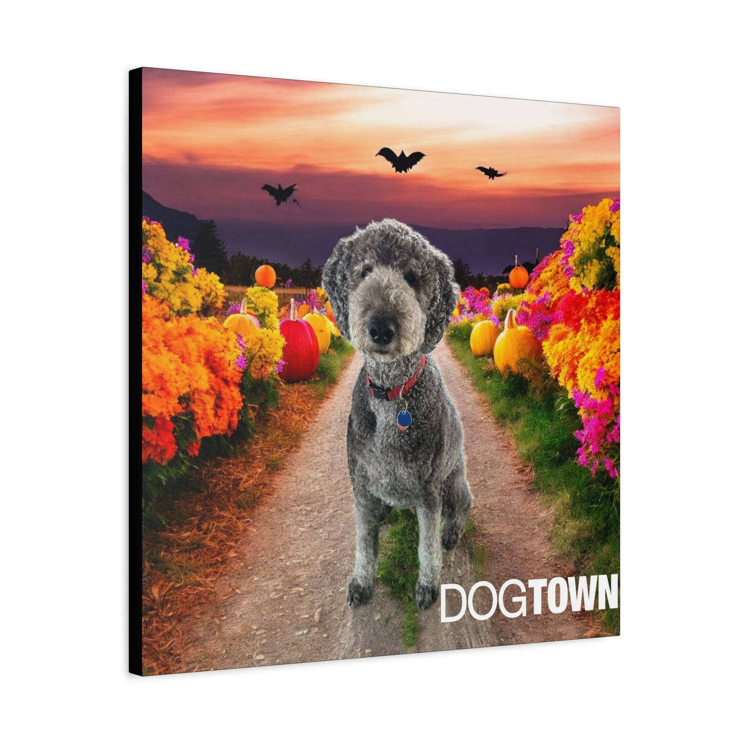 Oz - Halloween Canvas