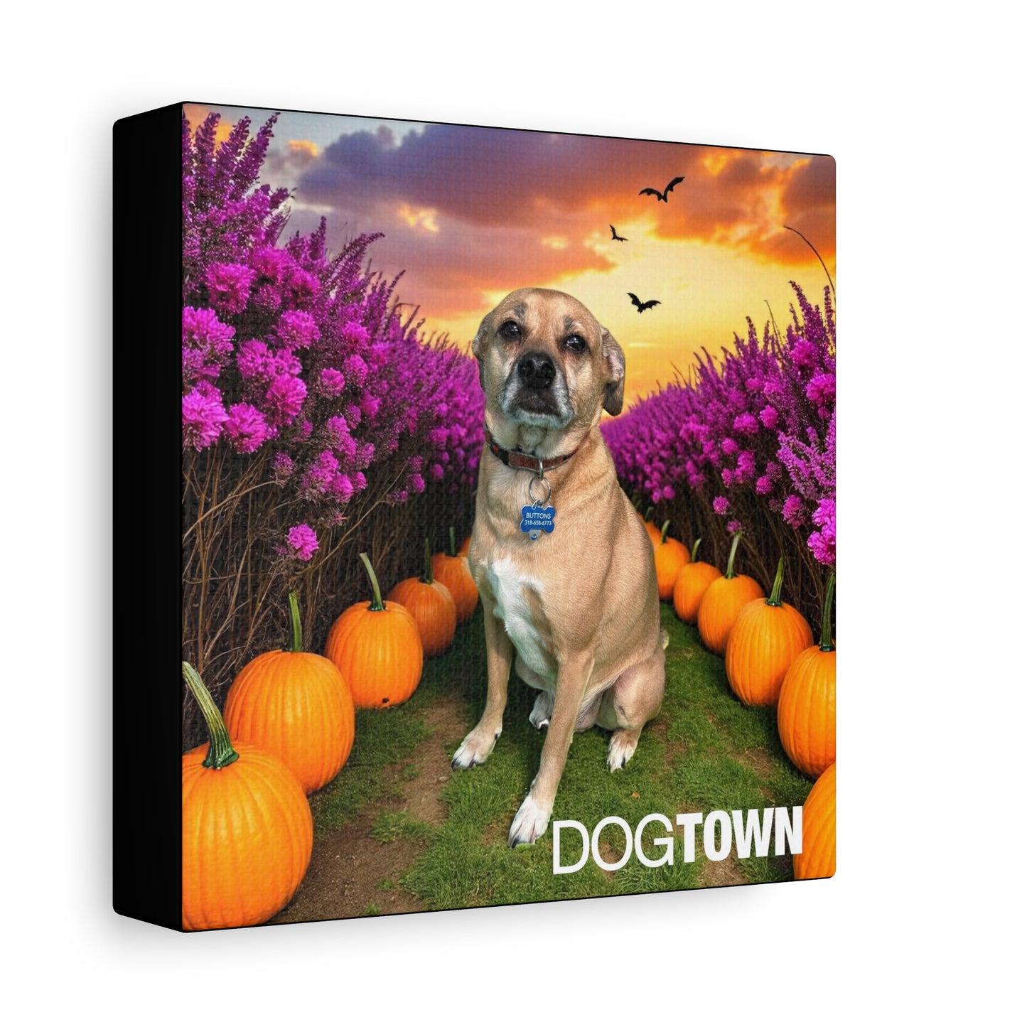 Buttons - Halloween Canvas