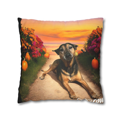 Caius - Halloween Pillowcase