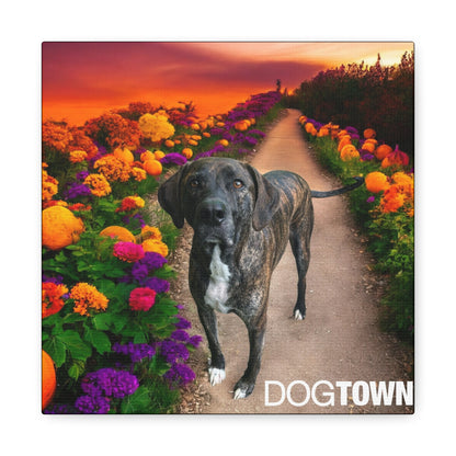 Wynnie - Halloween Canvas