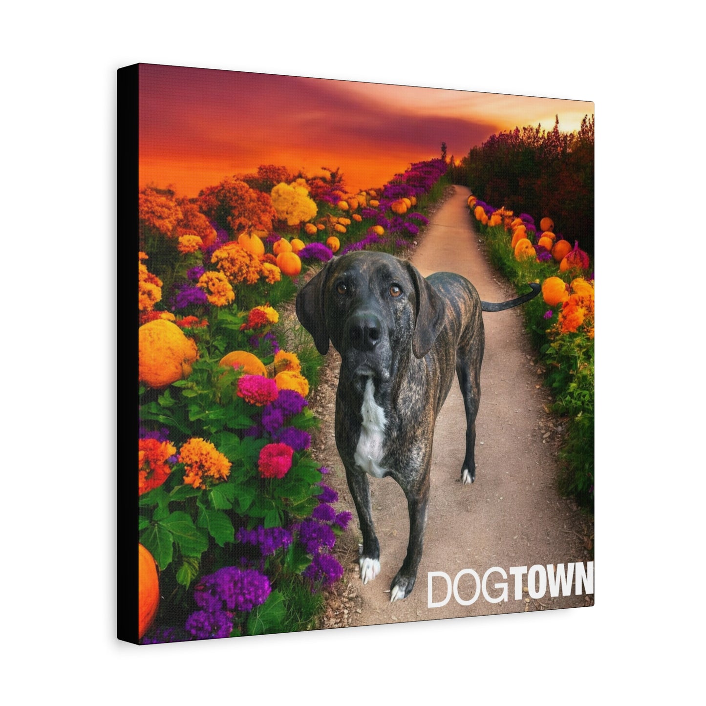 Wynnie - Halloween Canvas