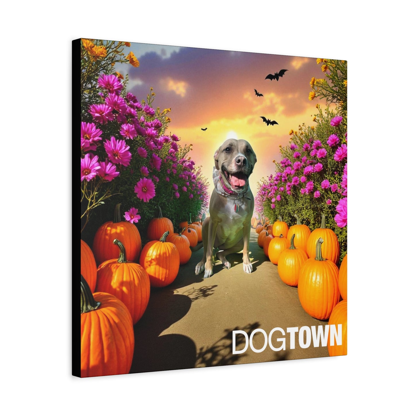 Star - Halloween Canvas