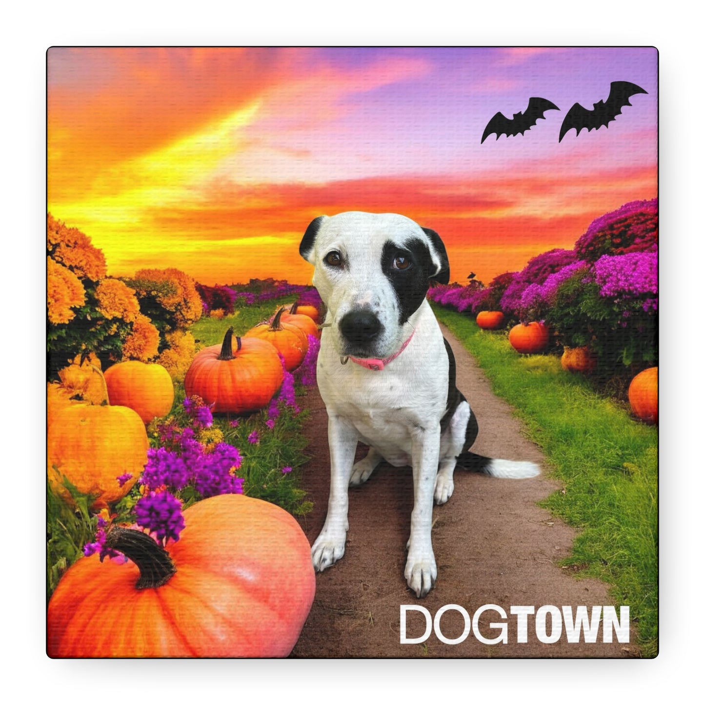 Stella - Halloween Canvas