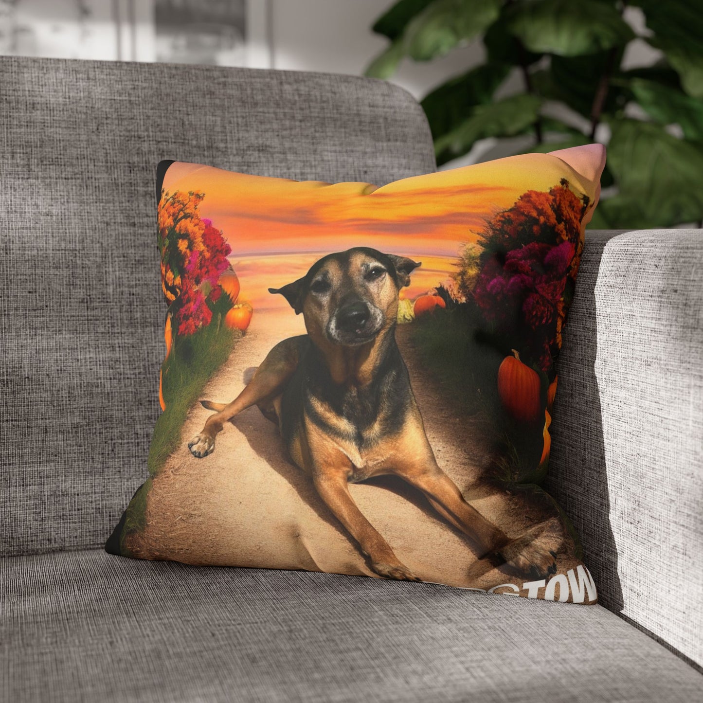 Caius - Halloween Pillowcase