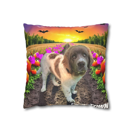 Stella - Halloween Pillowcase