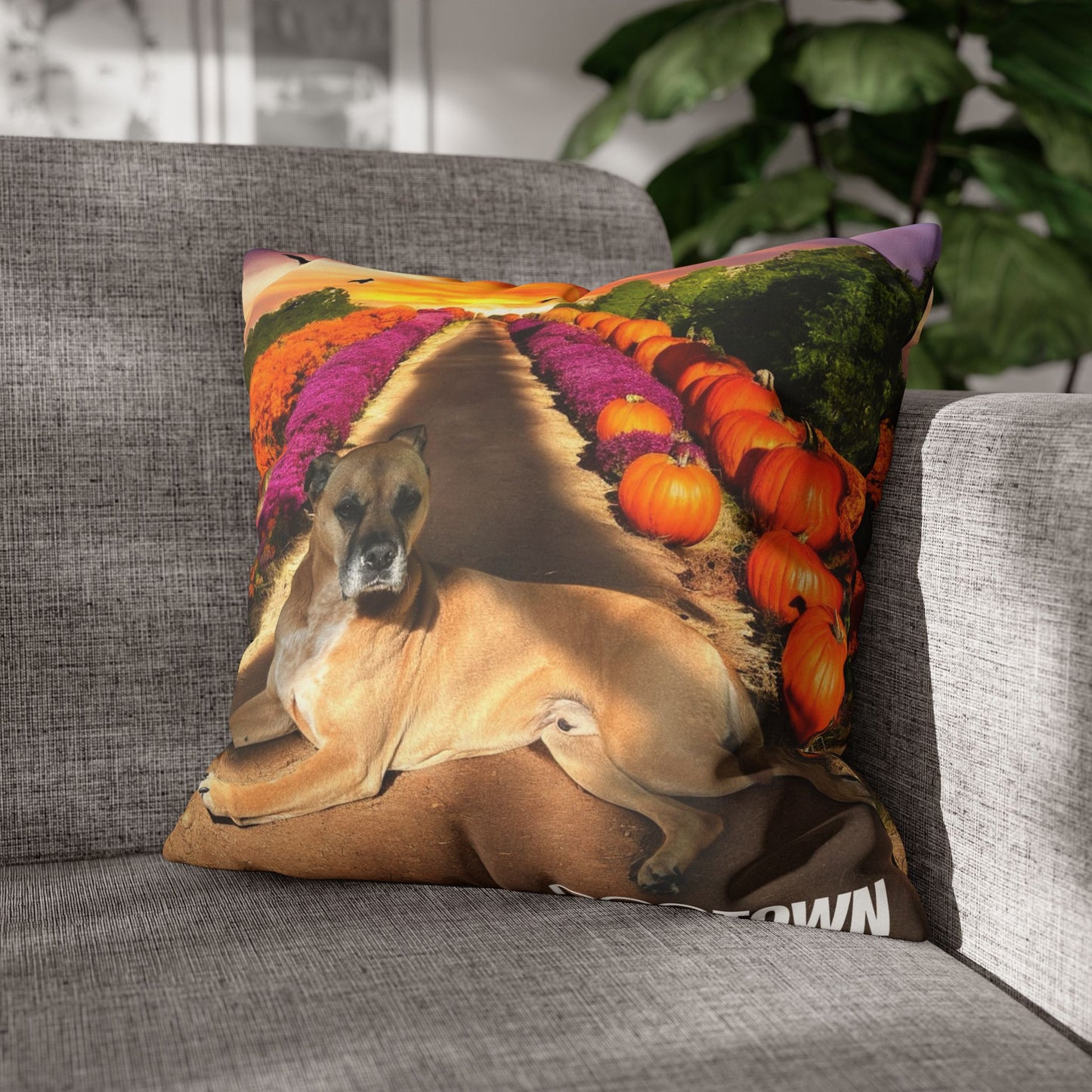 Cooper - Halloween Pillowcase