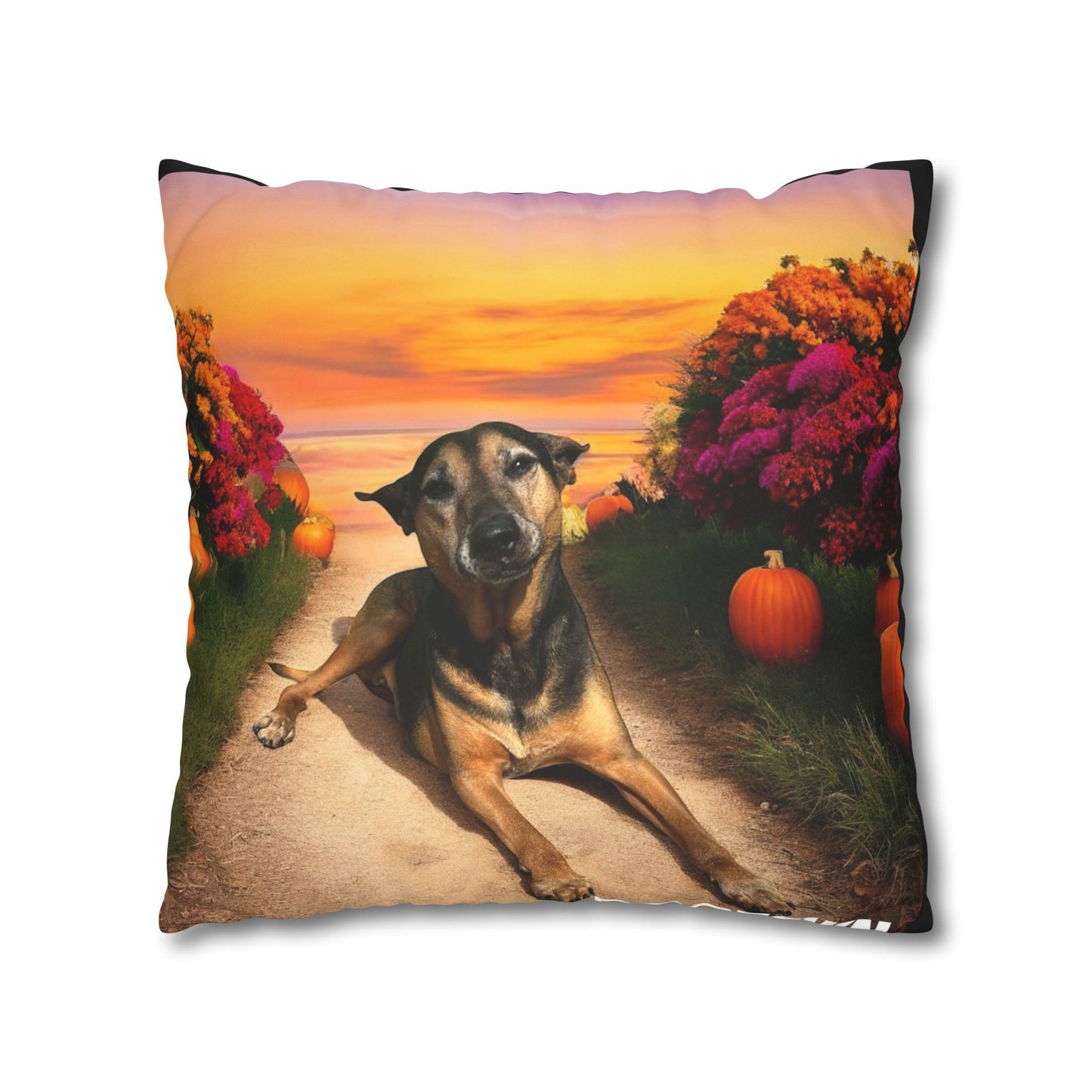 Caius - Halloween Pillowcase