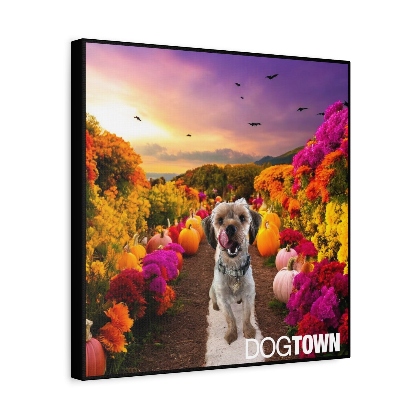 Jasper - Halloween Canvas