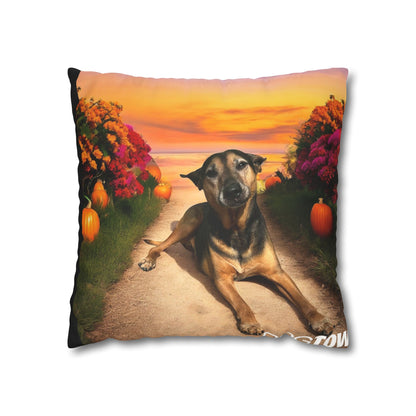 Caius - Halloween Pillowcase