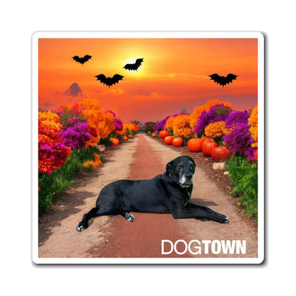Charlotte - 3x3 Halloween Magnet