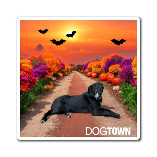 Charlotte - 3x3 Halloween Magnet