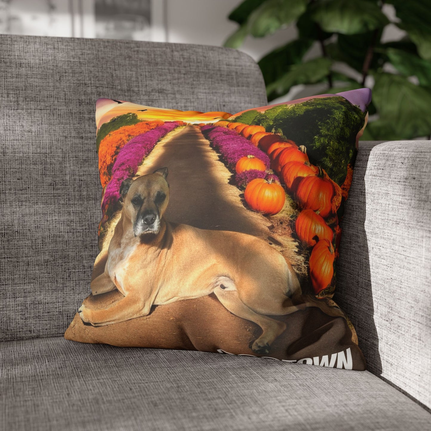 Cooper - Halloween Pillowcase