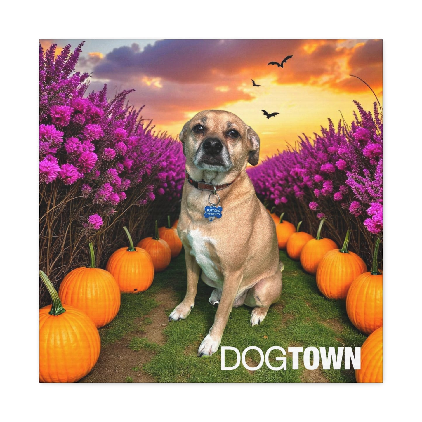 Buttons - Halloween Canvas