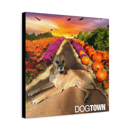 Cooper - Halloween Canvas