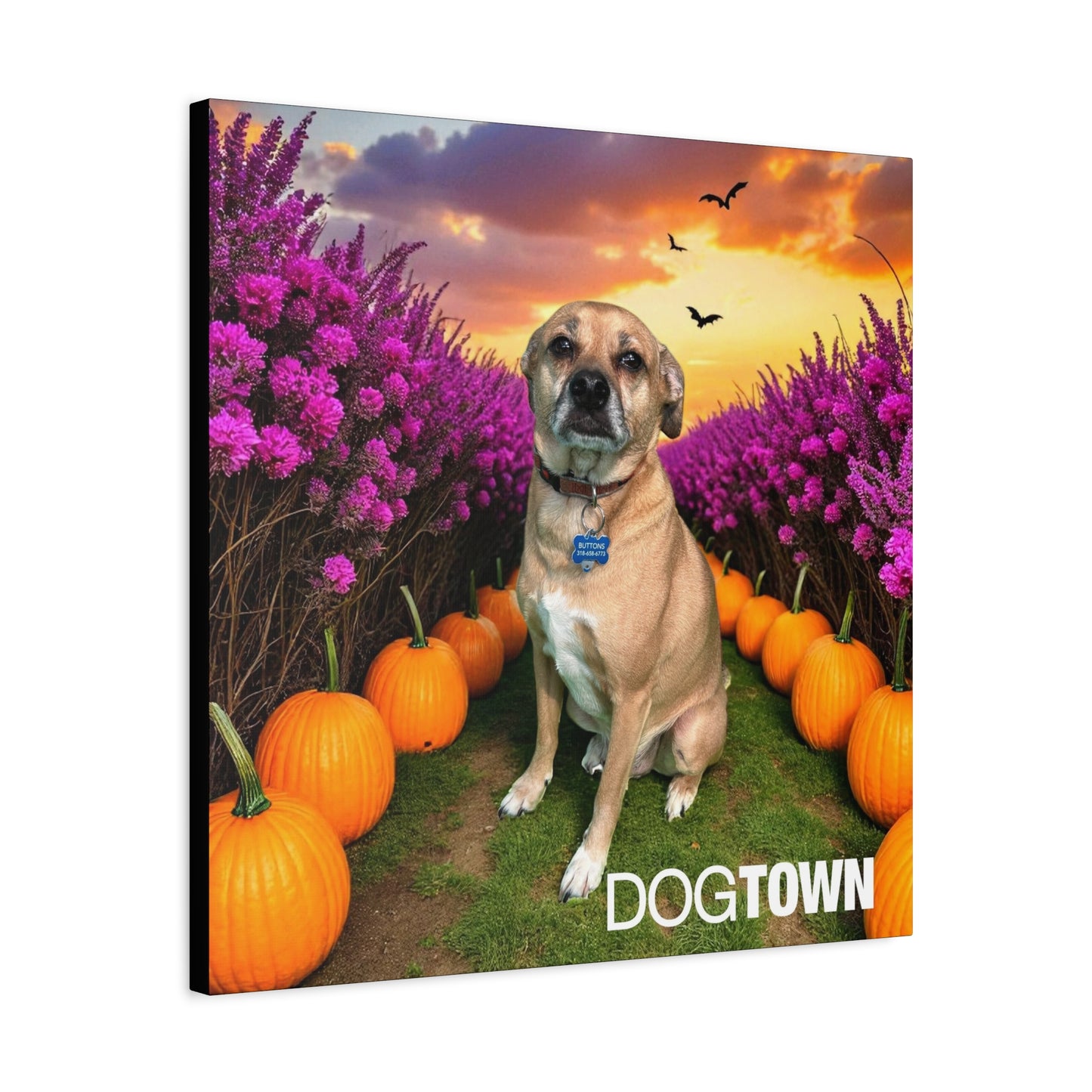 Buttons - Halloween Canvas