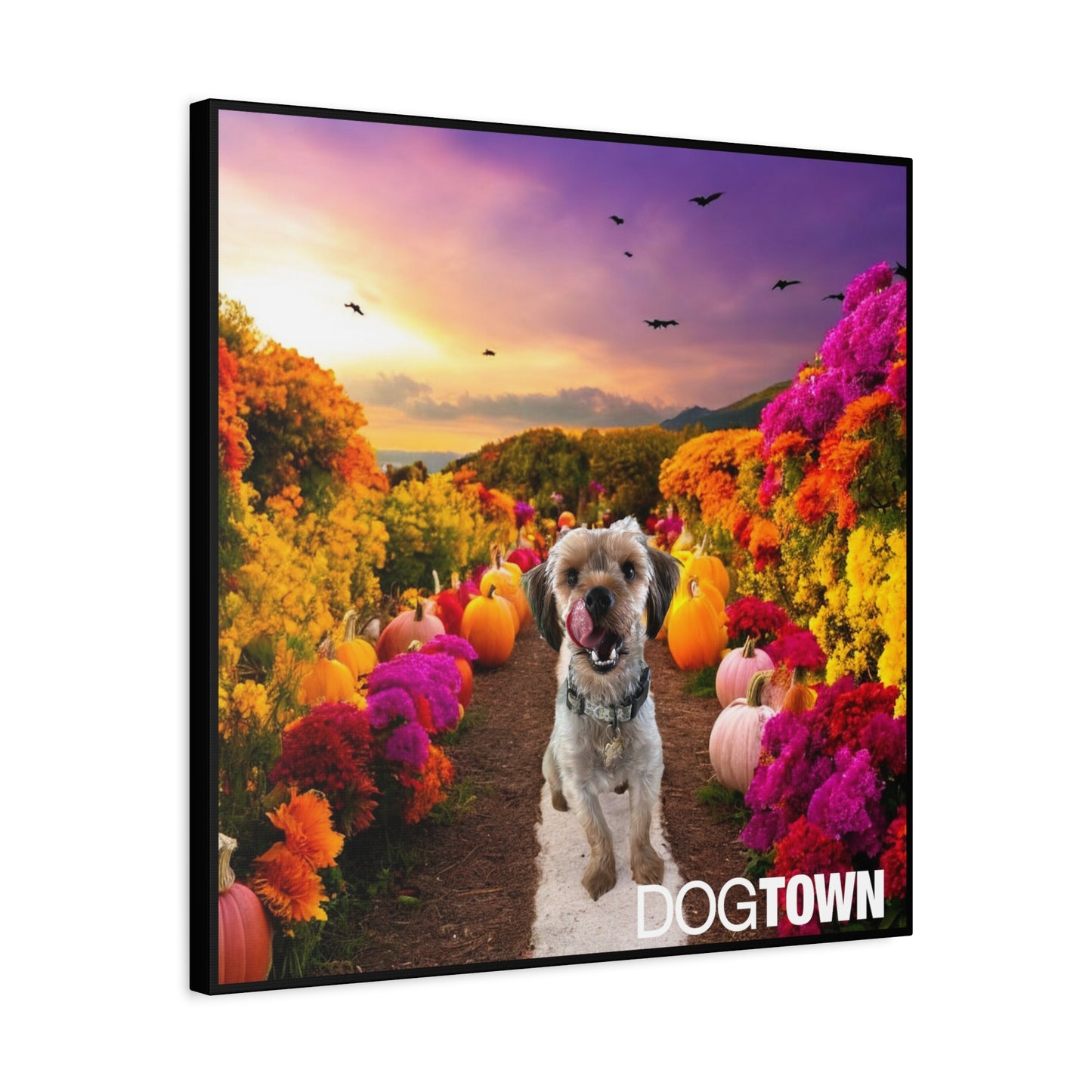 Jasper - Halloween Canvas